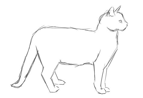 cat side view drawing