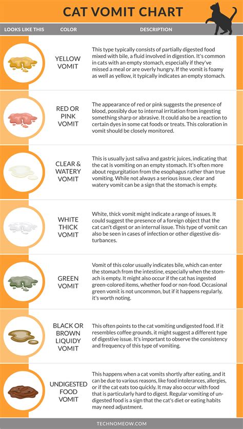 Cat Throw Up Chart