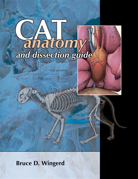 Download Cat Anatomy And Dissection Guide 