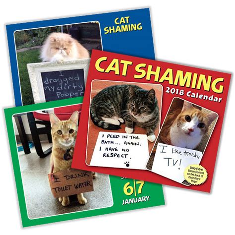 Full Download Cat Shaming 2018 Calendar 