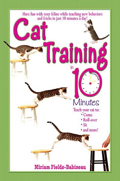 Full Download Cat Training In 10 Minutes 