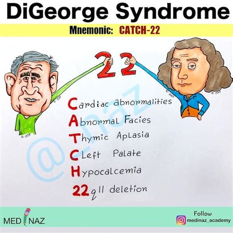 Catch 22 Digeorge