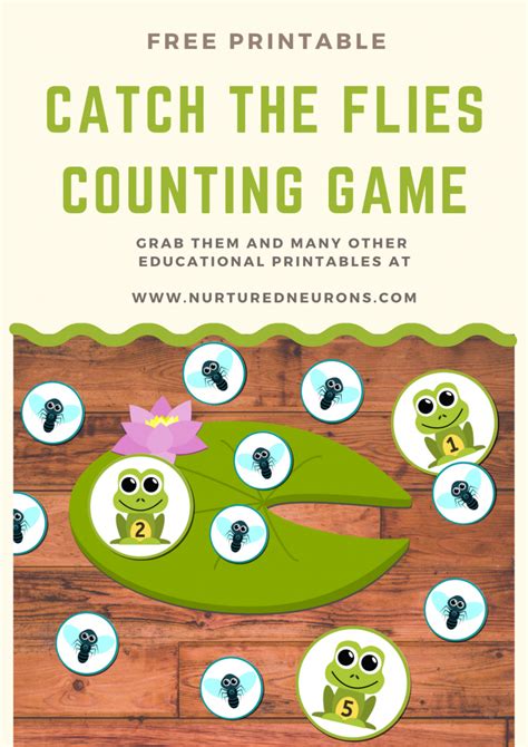 Catch The Flies A Fantastic Frog Math Game Froggy Math - Froggy Math