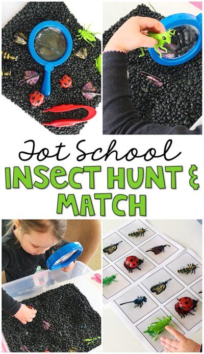 Catching Bugs 5 Science Projects From Outdoor Science Science Bug - Science Bug