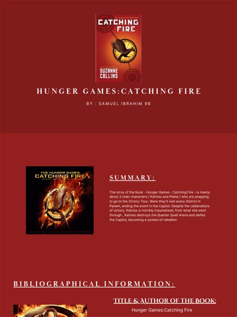 Catching Fire Report