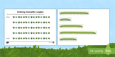 Caterpillar Ordering Lengths Activity Pack Teacher Made Twinkl Ordering Objects By Length Worksheet - Ordering Objects By Length Worksheet