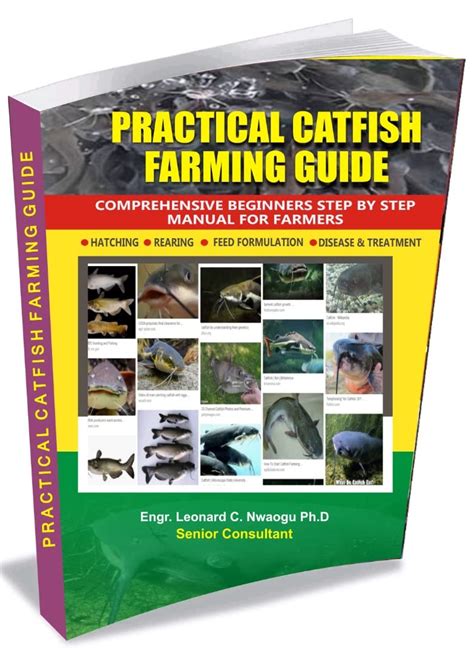 catfish farming manual