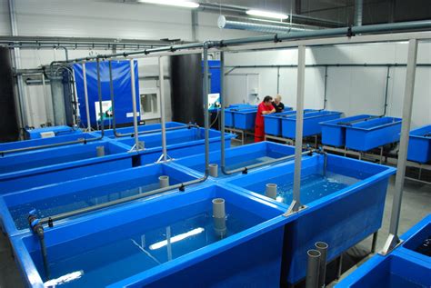 Catfish Hatchery