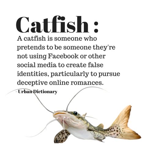 catfishing stories