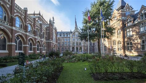 Catho De Lille