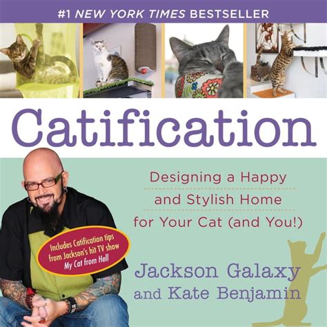 catification designing a happy and stylish home fo
