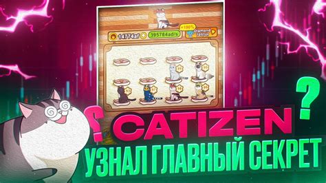 catizen 7 июля