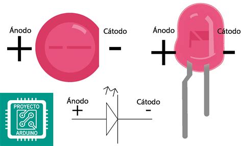 Catodo E Anodo