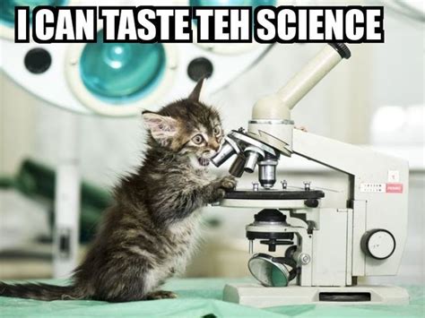 Cats In Science Cat Science - Cat Science