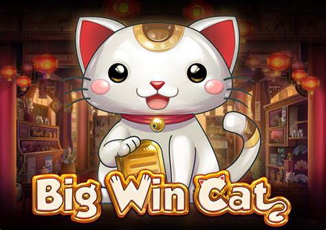 cats slots big win