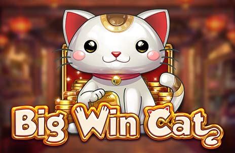 cats slots big win uoqr