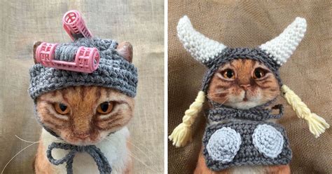 Cats With Hats