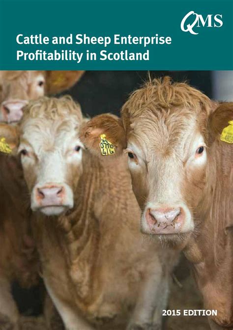 Read Cattle And Sheep Enterprise Profitability In Scotland 