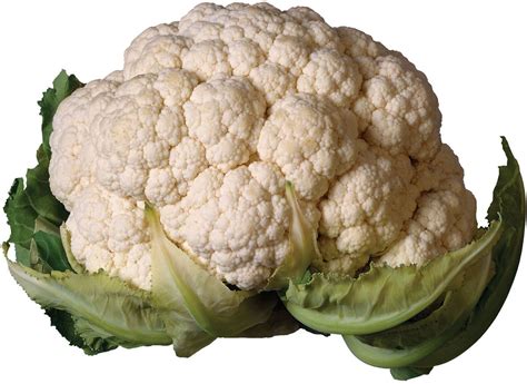 cauliflower | Cauliflower Broccoli Asian and tropical vegetable seeds