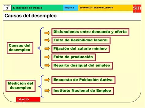 Causas Del Desempleo