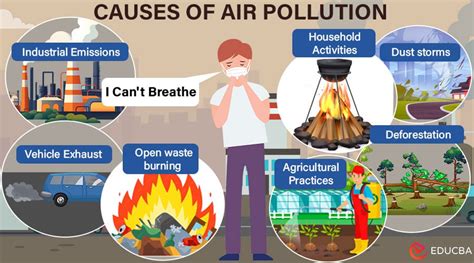 cause and effect air pollution essay