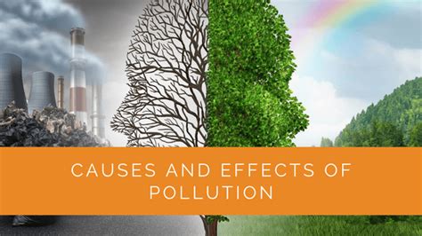 Causes And Effects Of The Industrial Revolution
