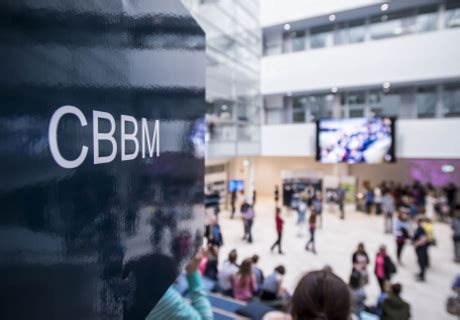 brdice: Aposte nas Melhores Apostas Desportivas Online e Fique Tranquilo com a Proteção de Fundos - Foto 2