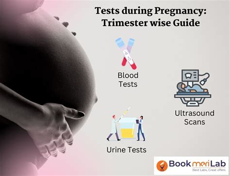 cbc test in third trimester