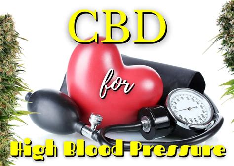 cbd and hypertension​