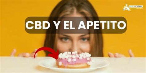 cbd apetito