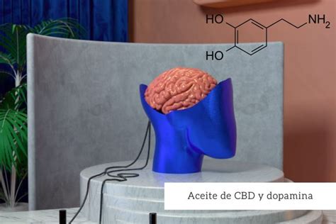 cbd dopamina