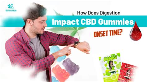 cbd gummies effect duration