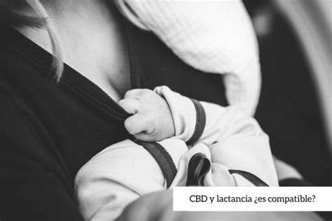 cbd y lactancia
