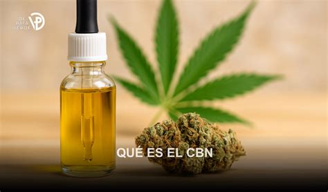 cbn que es