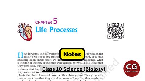 Cbse Class 10 Chapter Life Processes Notes