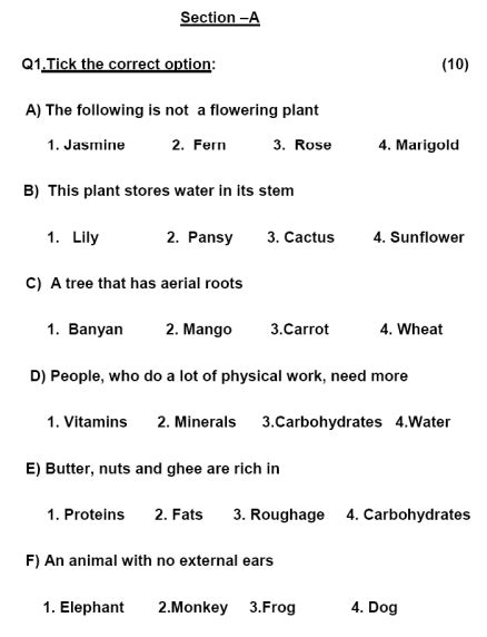 Cbse Sample Paper Class 4 Science Solved Pdf 4th Standard Science Question Answer - 4th Standard Science Question Answer