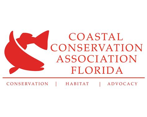 cca florida