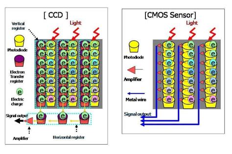 Full Download Ccd And Cmos Sensor Technology 