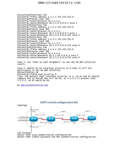 ccna 2 lab 32 19 answers