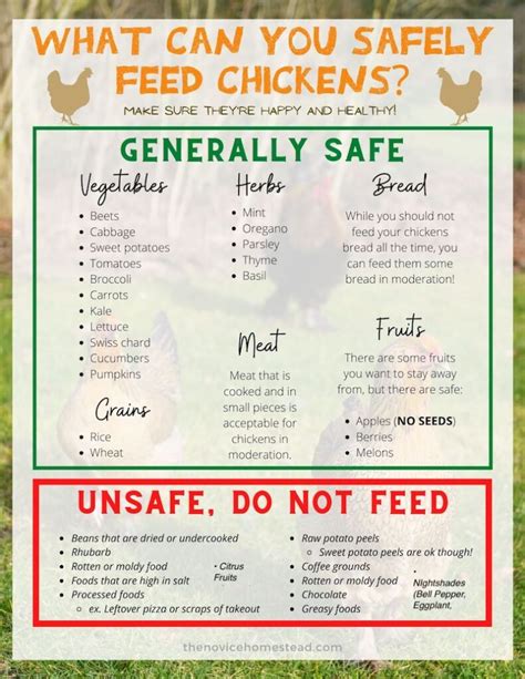 cdc guidelines on kissing chickens food list printable