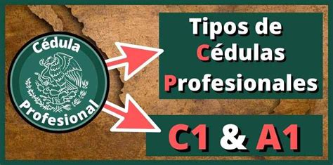 Cedula Tipo C1