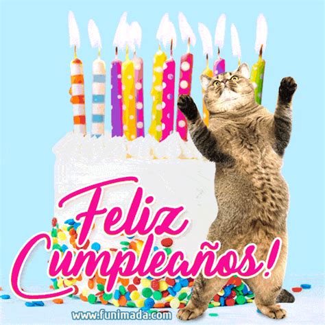 ¡Celebra el cumpleaños de tu gato con divertidos gifs! ¡Felicidades!