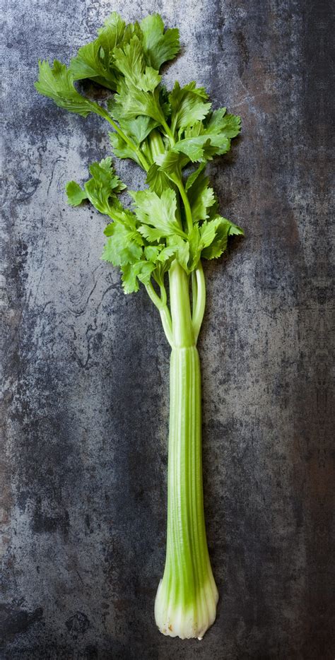 celery 4