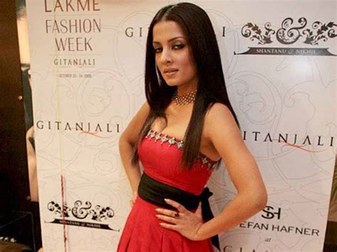 celina jaitly biography