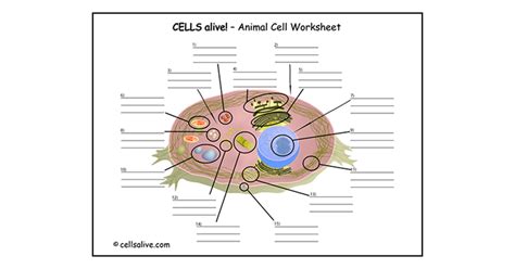 Cell Alive Worksheet   Pdf Cells Alive Amazing World Of Science With - Cell Alive Worksheet