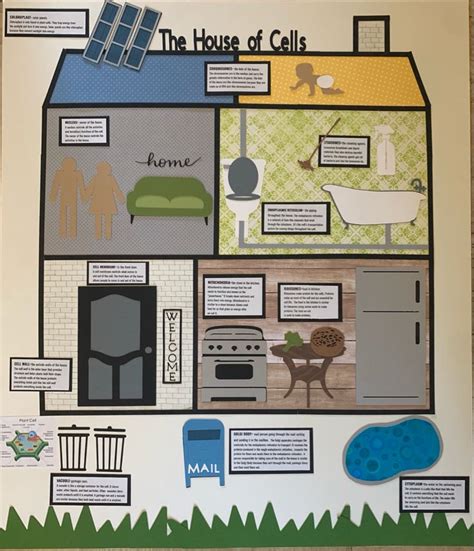 Cell Analogy Project