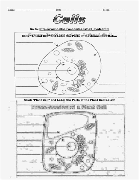 Cell And Factory Workshe Docx Cell Organelle Cell Cell And Factory Worksheet - Cell And Factory Worksheet