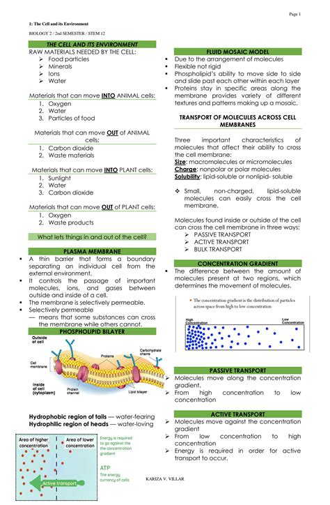 Cell And Its Environment Study Guide