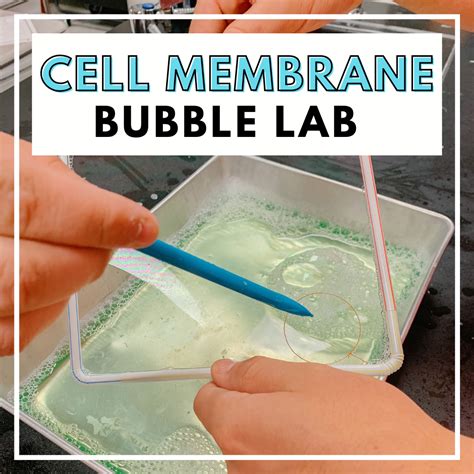 Cell Biology Experiments Tutorial The Second Edition Of The National Quality Courses Supporting Three Dimensional Materials Chinese Edition