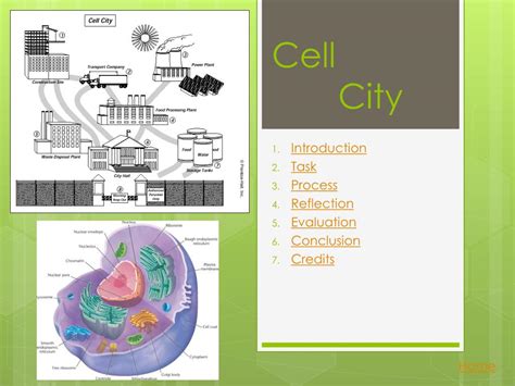 Cell City Introduction Studylib Net Cell City Introduction Worksheet - Cell City Introduction Worksheet